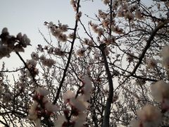 -云龙山