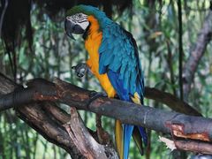 -云南野生动物园