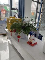 -蕾特恩专业祛痘·皮肤管理