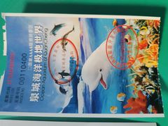 -泉城欧乐堡海洋极地世界