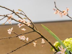 -荔湾湖公园