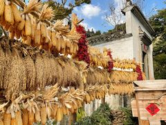 -婺源风景区