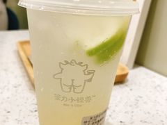 柠檬泡泡-茶力的小怪兽(梅林卓悦汇店)