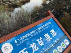 -北药泉