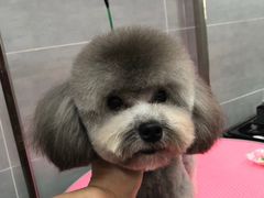 -宠福鑫康馨动物医院·骨科·眼科