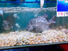 -南海渔家•海鲜•正宗海南菜(海棠湾店)