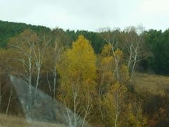 -塞罕坝国家级自然保护区