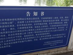 -什刹海