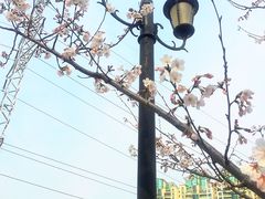 -西北湖绿化广场