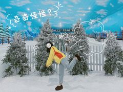 -世界之窗阿尔卑斯冰雪世界