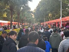 -风云岭森林公园