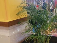 -儿童菜·采风阁家常菜餐厅(亚龙湾天域酒店)