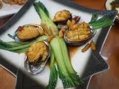 浇汁鲍鱼-友强·23年特色海鲜大排档(厦门店)