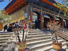 -西宁市东关清真大寺