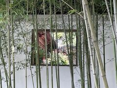 -秋霞圃