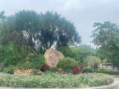 -滴水岩森林公园