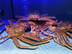 -阿伟海鲜楼·福建菜(延寿店)