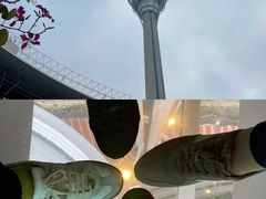 -澳门旅游塔360°旋转餐厅(南湾湖广场店)