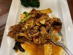 -丽苑大酒店