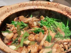 -煲煲好(朝阳门店)