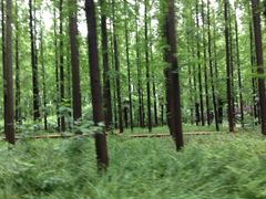 SS-上海怡沁园度假酒店