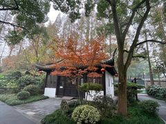 -亭林公园
