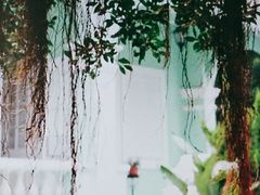 -龙环葡韵住宅式博物馆