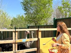 -水上乐园·欢乐世界