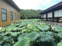 -千龙湖生态旅游度假区