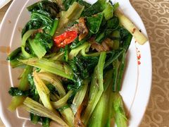 豆豉鲮鱼油麦菜-喜记避风塘炒辣蟹(旗舰店)