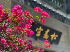 -广州神农草堂中医药博物馆