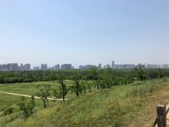 -汉长安城未央宫国家考古遗址公园