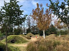 -前小桔亲子创意农场·草莓采摘·露营烧烤