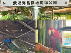 -海合安武汉极地海洋公园