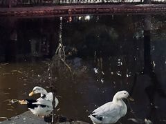 -西安市长乐公园