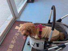 -全心全意动物诊疗中心医院(北苑店)