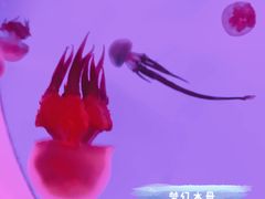 -常州海昌海洋探索馆