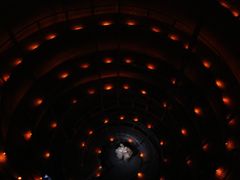 -怀托摩萤火虫洞