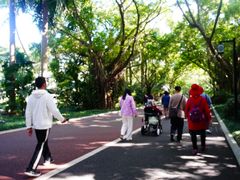 -南宁南湖公园