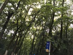 -景德镇陶瓷民俗博物馆