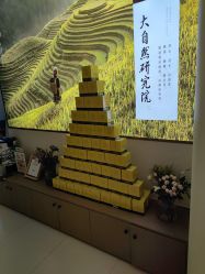 -头道汤头疗养生馆