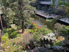 -桃园盛宴·岭南粤菜·手工茶点(南庄店)