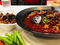 山城毛血旺-金鼎轩(亚运村店)