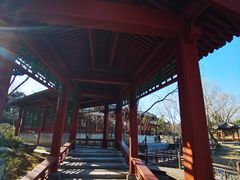 -北坞公园
