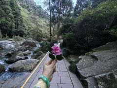 -刘伯温故里景区百丈漈