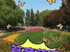 -海淀公园
