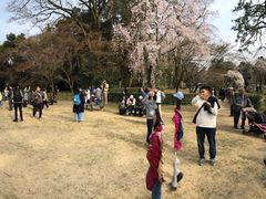 -京都御所