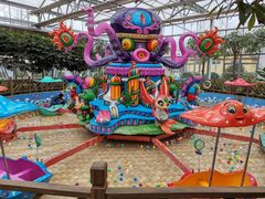 -南宫五洲植物乐园