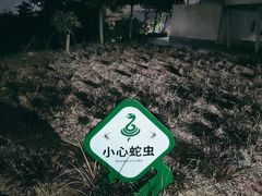 -白石龙音乐公园