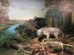 -湖南省地质博物馆